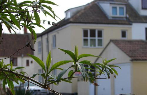 Dapps Hill Haven - between Bristol and Bath, both 9 mins by train! - Foto 49