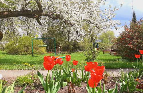 Die Malche Gäste und Tagungshaus 26 - Foto 19