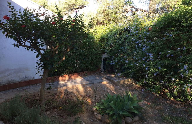 Golfo degli Ulivi Relax - Photo 45