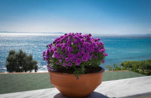 Thalassa Beach front villa - infinite sea view - Foto 20