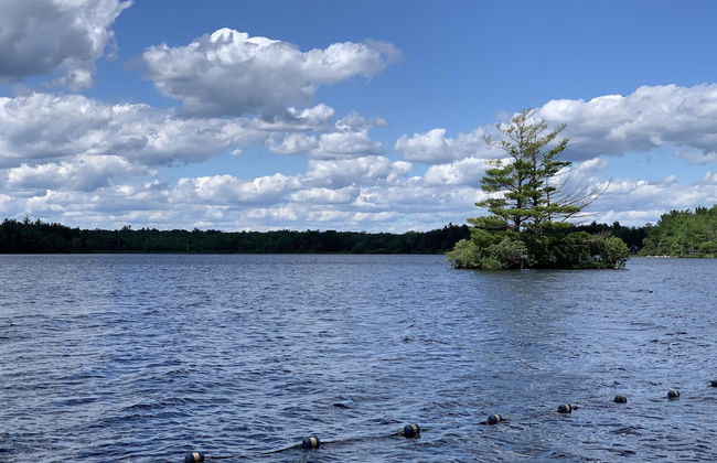 Pocono Retreat: Lake, Firepit, Bbq, Gameroom, Ski 4 Bedroom Home by RedAwning - Foto 19