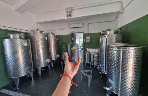 Agriturismo Ai Massi - Foto 33