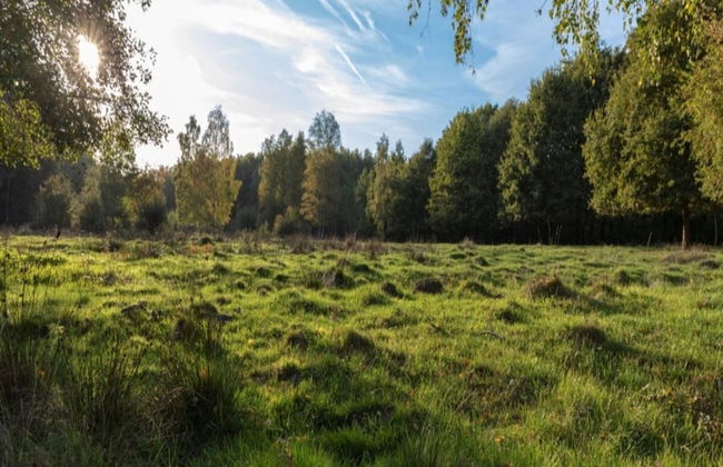 Chalet With air Conditioning on a Holiday Park - Foto 22