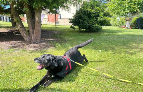 Ferienwohnung Wanderglück - Foto 19
