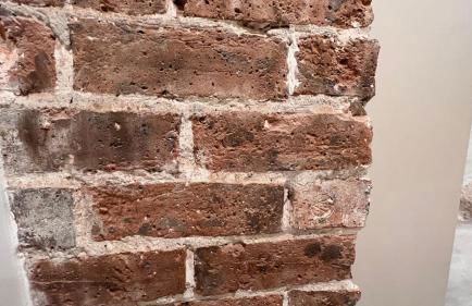 Serenity, Meditation at Notre Dame - Foto 16