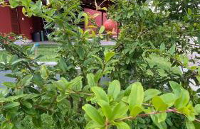 Refúgio Gostoso - Foto 45