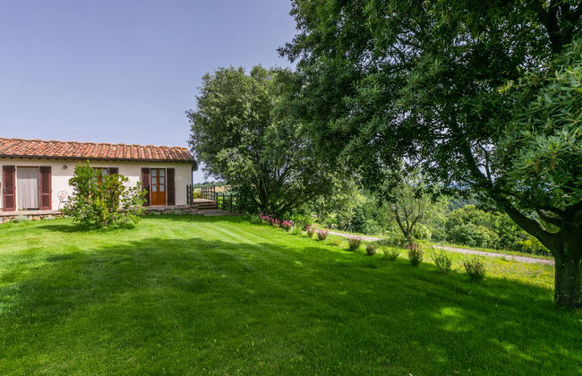 Ciliegiolo - Foto 46