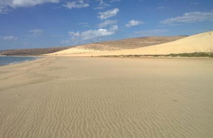 YOUR OCEAN EYES - Foto 34