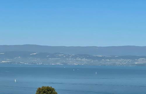 Le Turgot, proche thermes - Foto 7