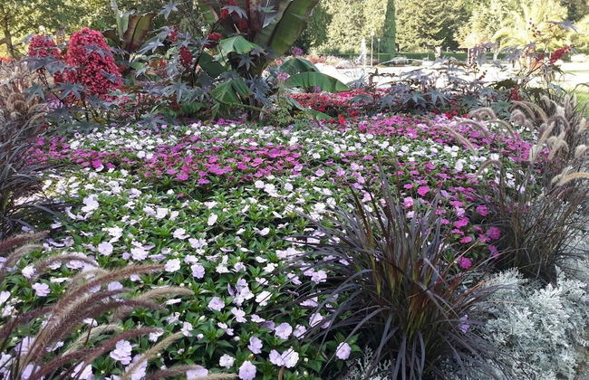 Haus an der Therme - Foto 19