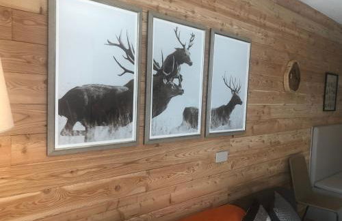 Chalet Bizet - Limone 1400 - Photo 15