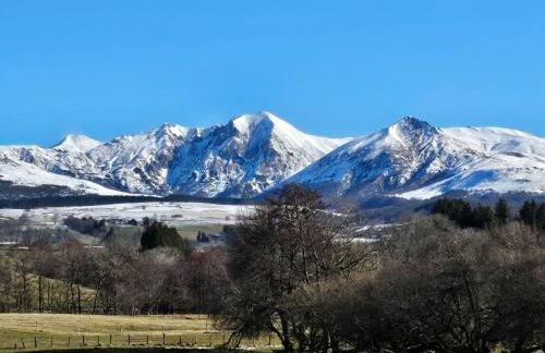 Les Marmottes de Murol - Foto 29