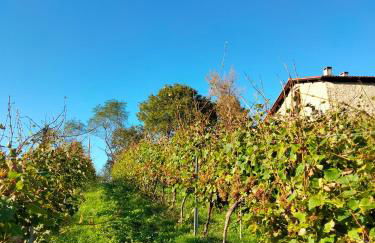 Agroturismo Erlete Goikoa -ESTAMOS EN EL CAMINO DE SANTIAGO -WE ARE ON THE CAMINO DE SANTIAGO- SENDERISMO-RUTAS Y BICICLETA - Photo 16