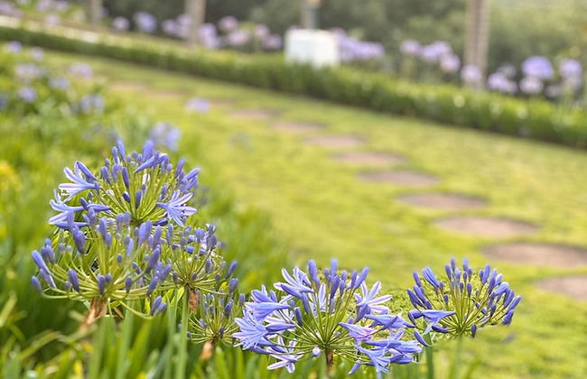 Sherwood's Country House - Foto 45