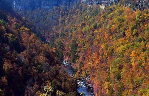 2 Homes Mentone Getaway - Riverfront & Near Parks - Foto 48