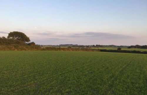 RB Contractor Stays - Celyn - Photo 11