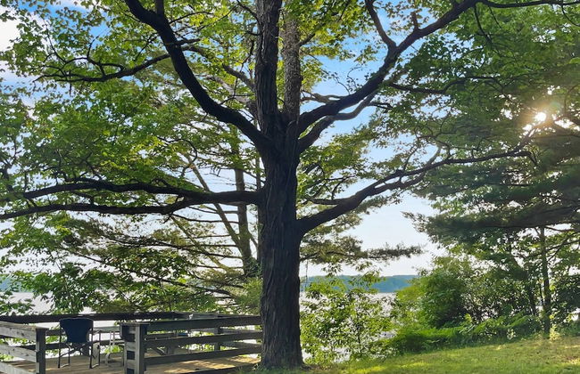 Kona - Hobbit House - Photo 19