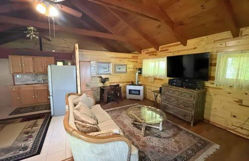 TnT Cabin on Plummer Lake - Photo 6