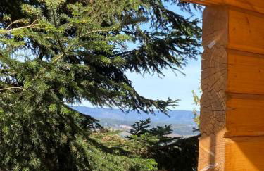 Chalet bois au calme, en lisière de forêt, balcons, sentiers balades Gérardmer & Alsace "Chalet Mon beau sapin" - Foto 74