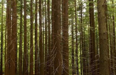 Casa Carminuca - Photo 37