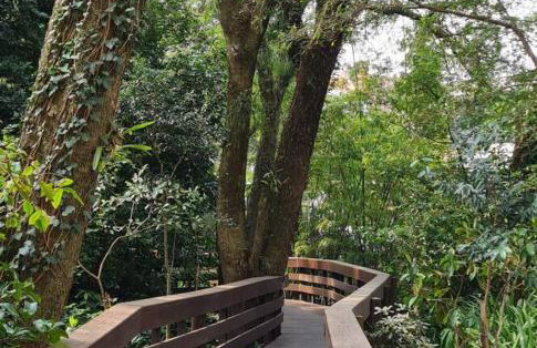 Localiz perfeita, completo! - Foto 6