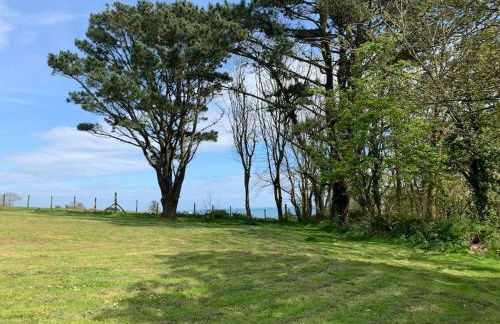 Little Bream - pretty cosy cottage, sea views, walk to the beach - Foto 28