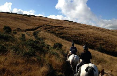 Sausage Cottage in Oakford Village 4 Bed Garden Local Pub - Foto 26