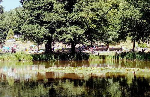 Ferienhaus am Badesee Schönsee Bungalow 12 - Foto 25