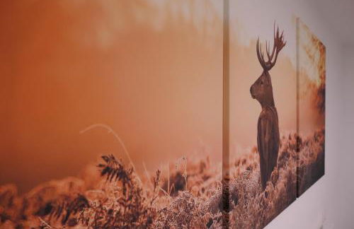 Gästehaus Jorde - FEWO König Ludwig - Foto 20