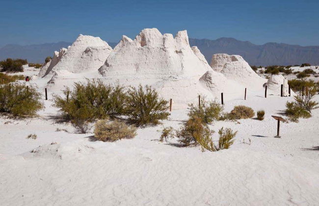 Escursione a Cuatro Ciénegas - Foto 1