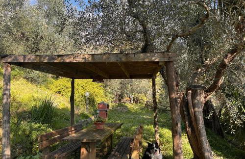 Podere Val di Vico - Foto 16