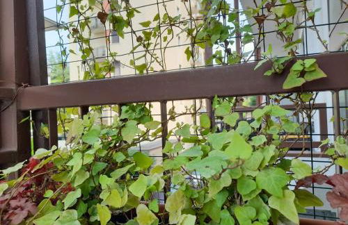 Appartamento Lora - Foto 44