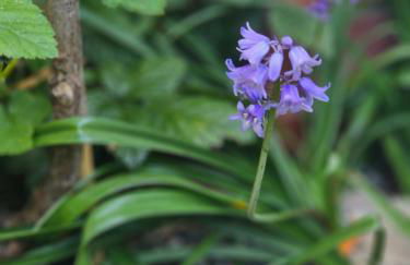 A Home Away From Home - Photo 32