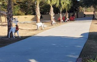 My Paradise - Foto 37