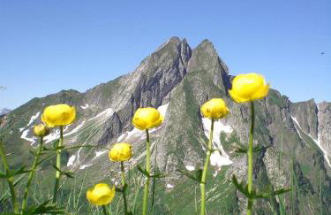 Ferienwohnung Landhaus Martin - Foto 31