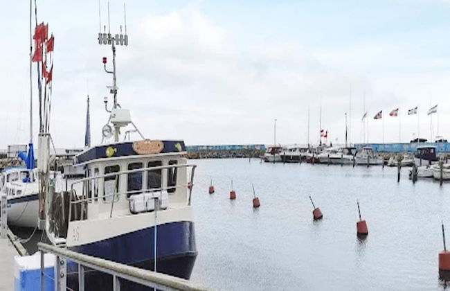 6 Person Holiday Home in Hadsund - Foto 29