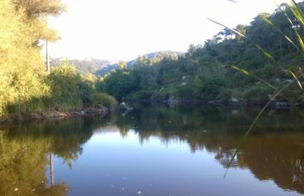 Ikaria Studios - Photo 65