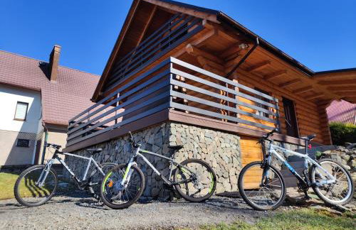 Kwietna łąka na szlaku - Foto 14