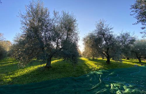 All'Antica Scuderia Del Castello - Foto 15