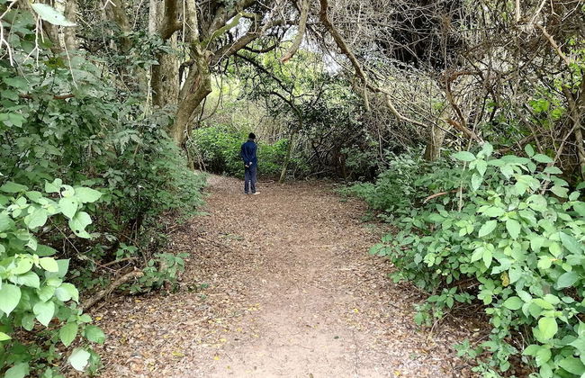 St Lucia Wilds - Foto 57