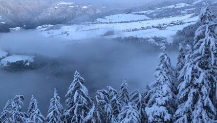 Forchnerhof Panorama- Rienzschlucht - Foto 2