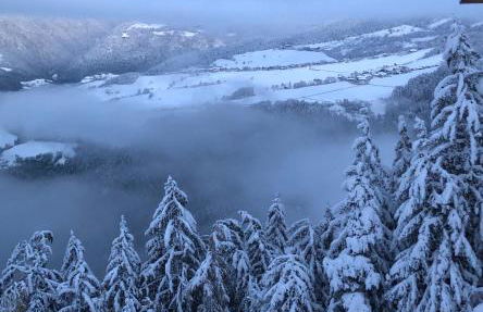 Forchnerhof Panorama- Rienzschlucht - Photo 1