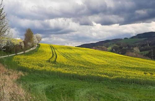 Quiet Comfort in Oelsnitz - Foto 16