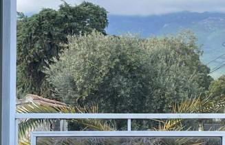 Maison familiale charmante - Foto 14