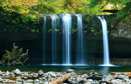 Willow Cottage - Foto 38