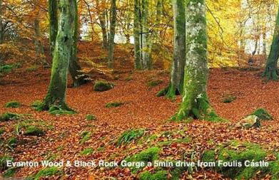 Foulis Castle Gate Lodge - Foto 23