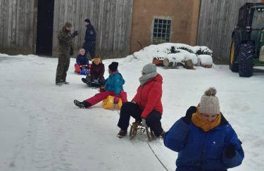 Ferienwohnungen Waldmann - Foto 14
