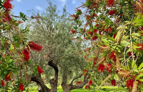 Aggelos and Thisbe Chania Suburbs Sea View Guest House - Foto 34