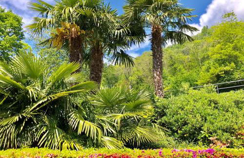 Residenza Ai Ronchi 1 2 6 - Foto 37