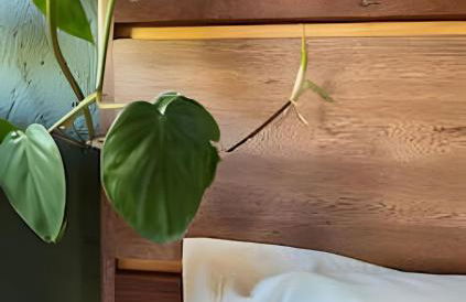 Casa VillaMar. - Foto 69